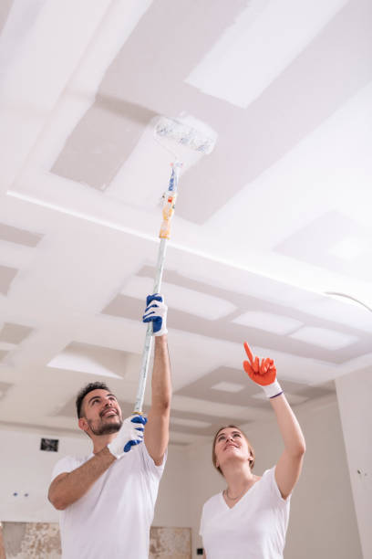 Best Ceiling Drywall Installation  in West Milwaukee, WI